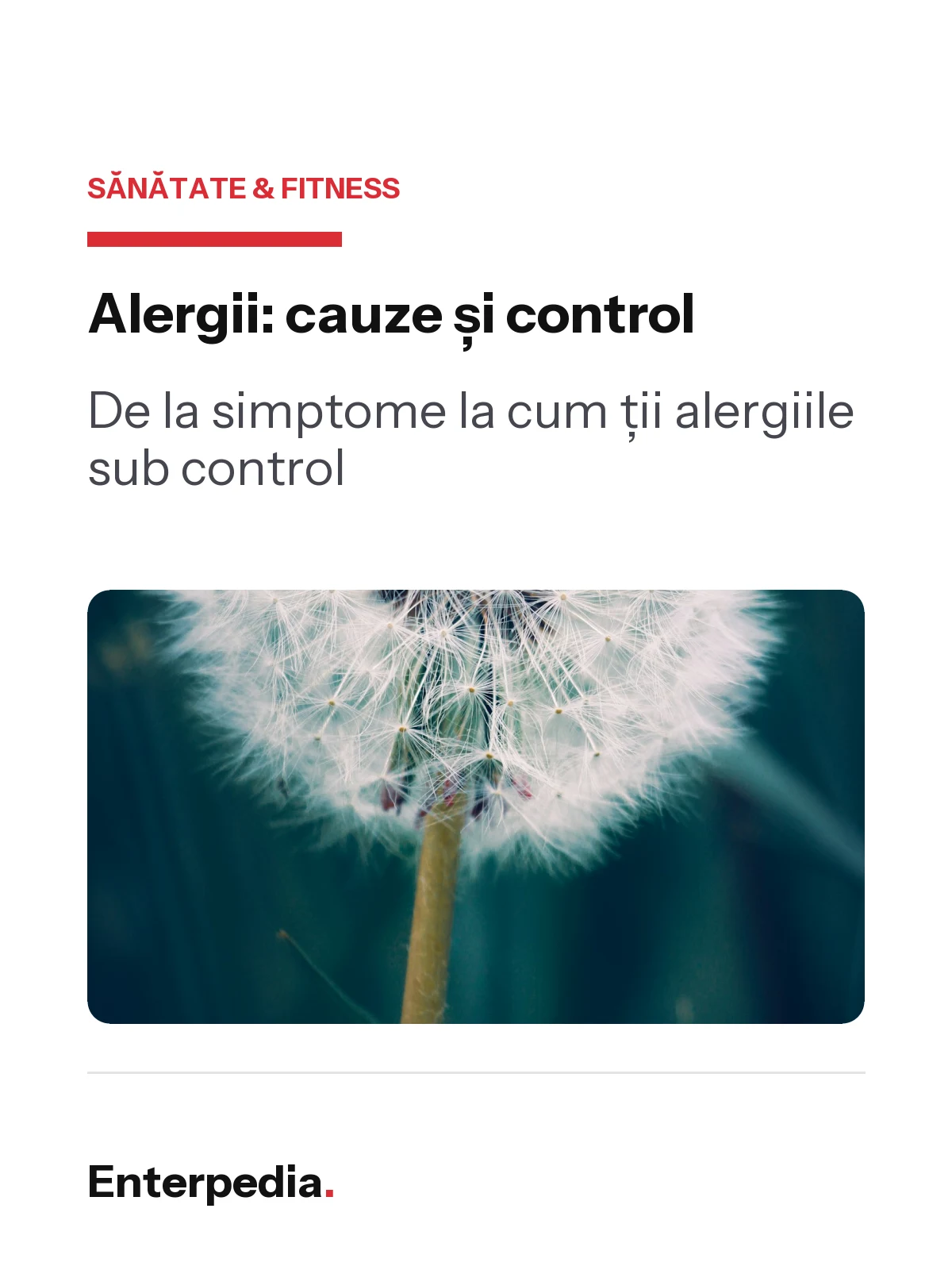 Previzualizare 1