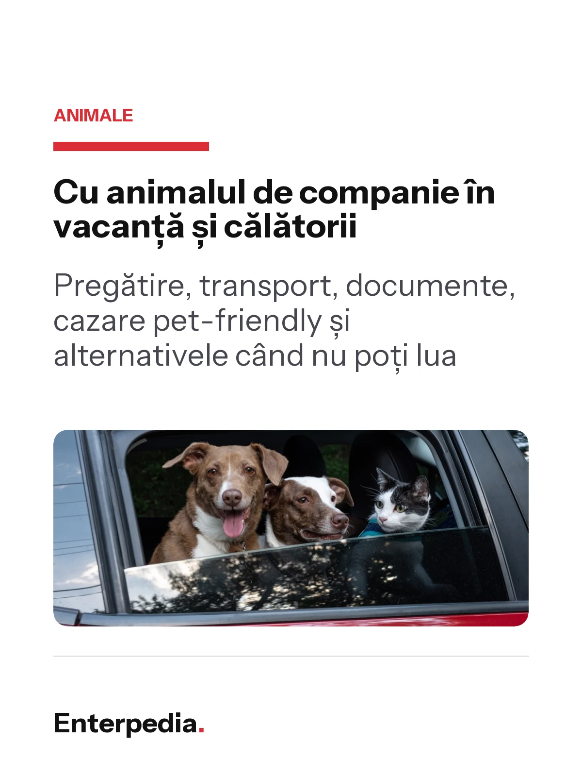copertă Cu animalul de companie în vacanță și călătorii