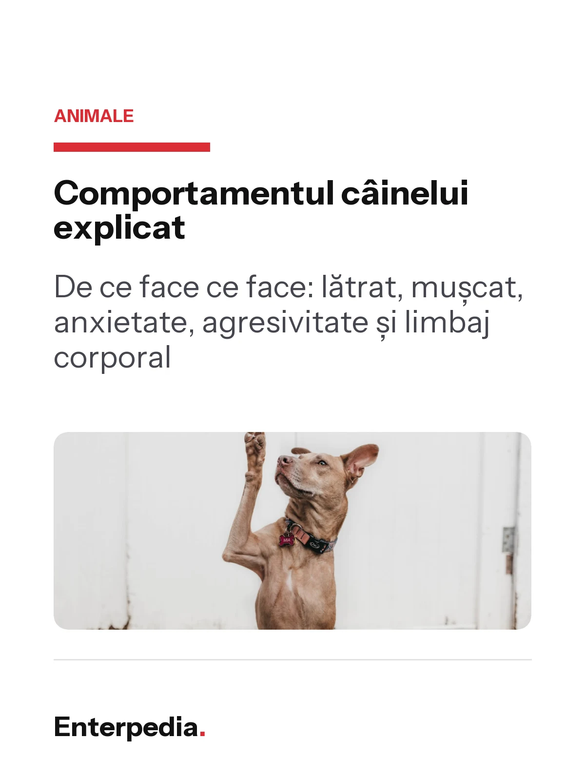 copertă Comportamentul câinelui explicat