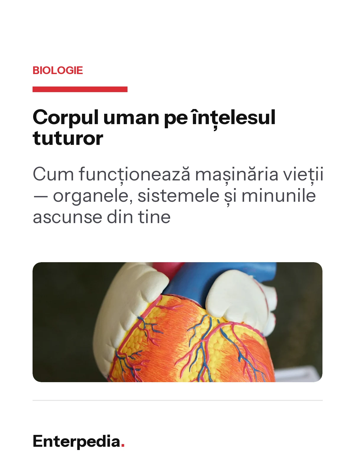 copertă Corpul uman pe înțelesul tuturor