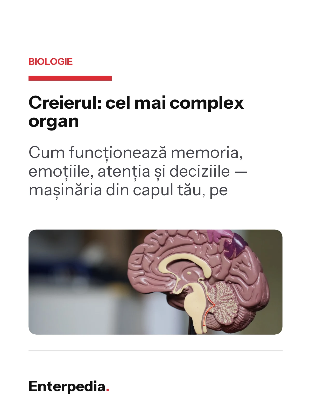 copertă Creierul: cel mai complex organ