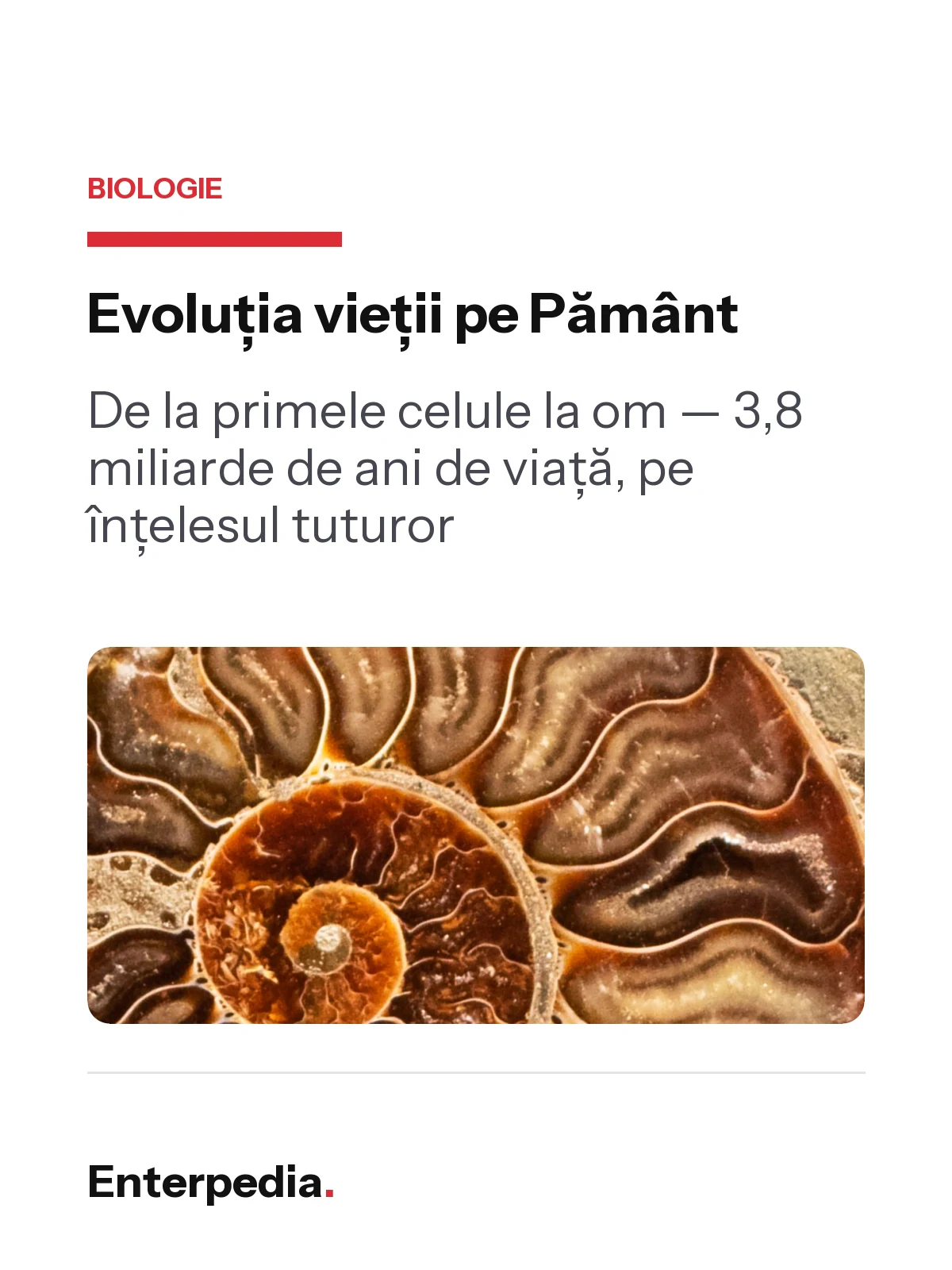 Previzualizare 1