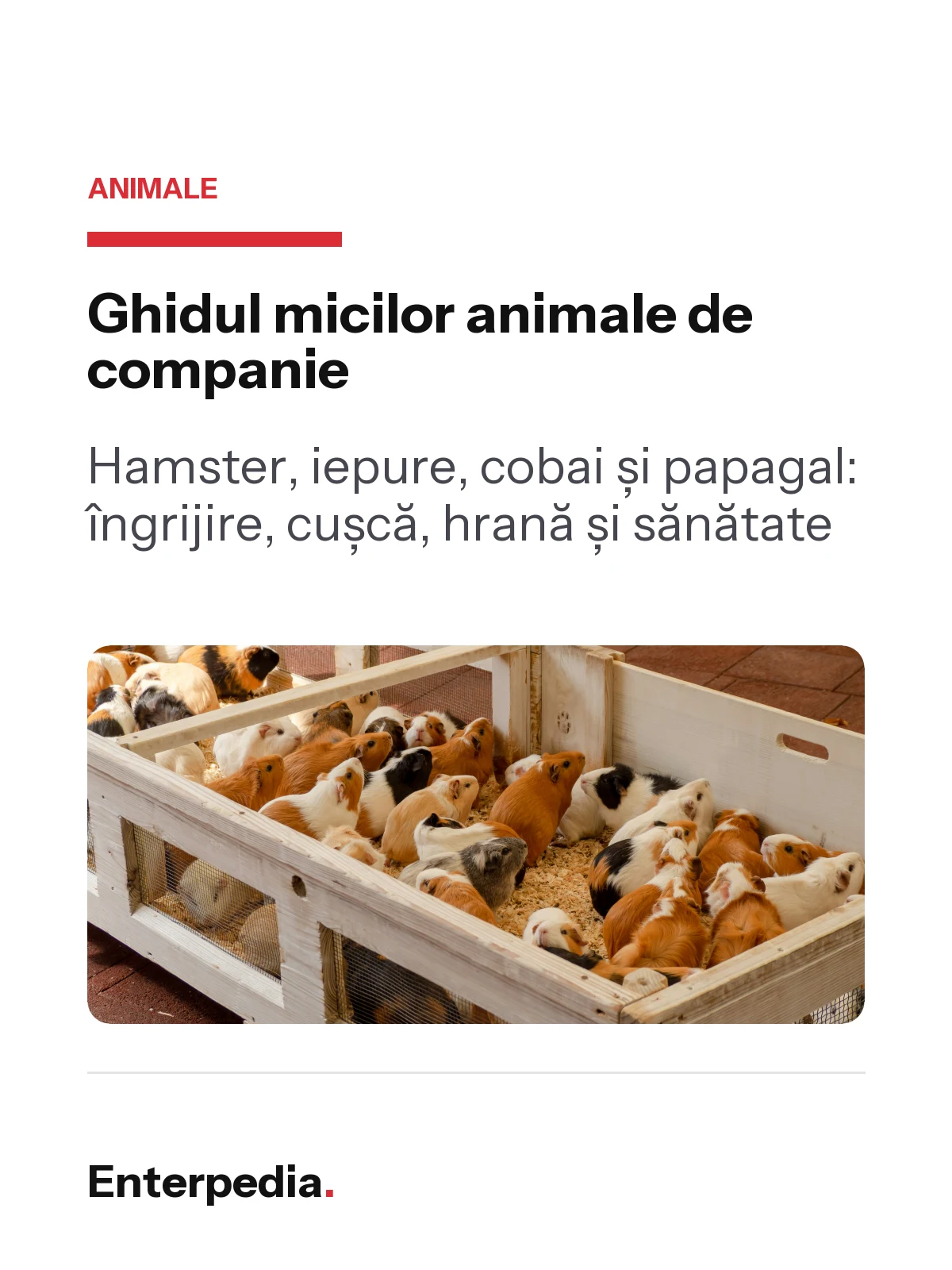 copertă Ghidul micilor animale de companie
