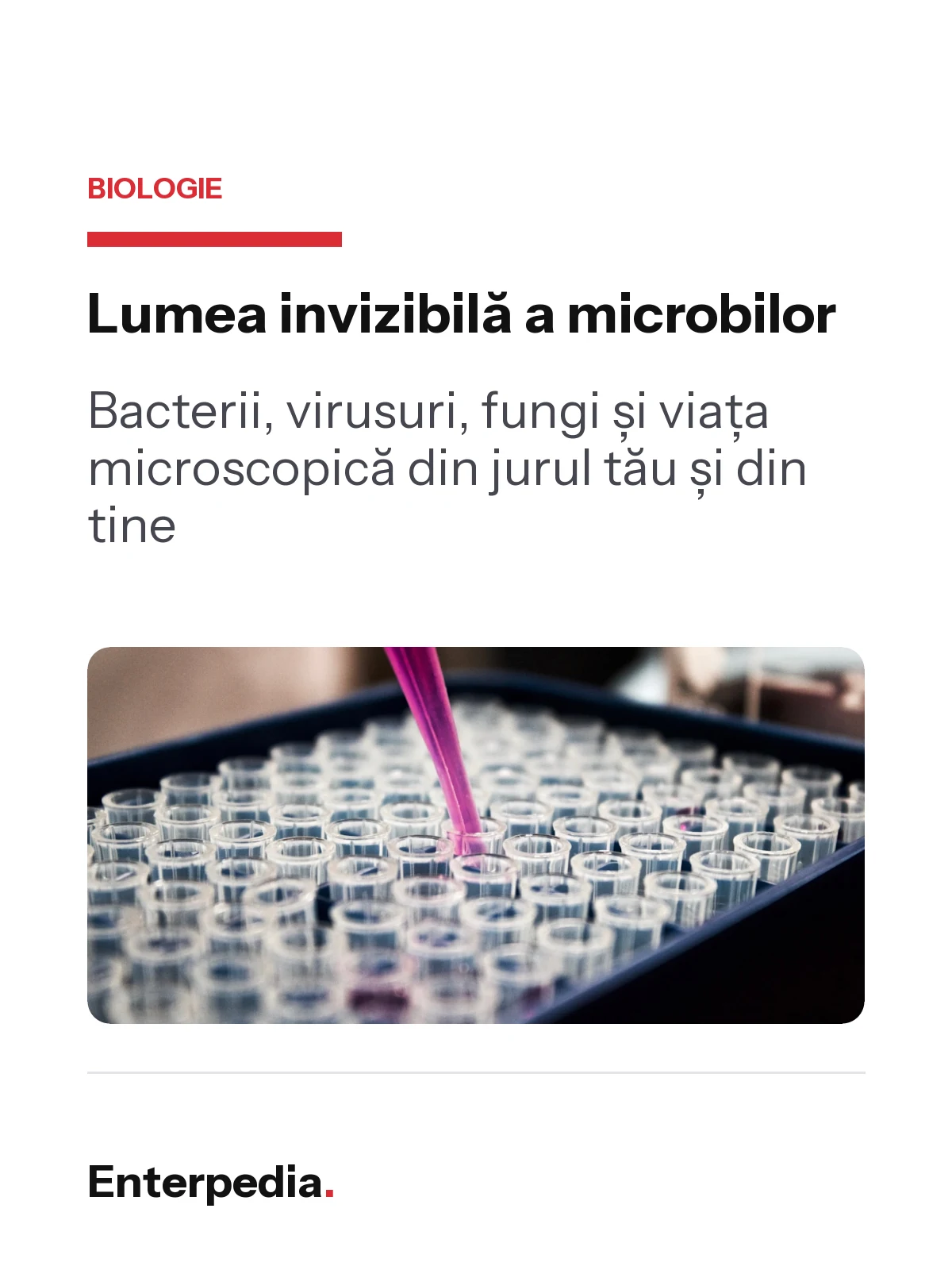 copertă Lumea invizibilă a microbilor