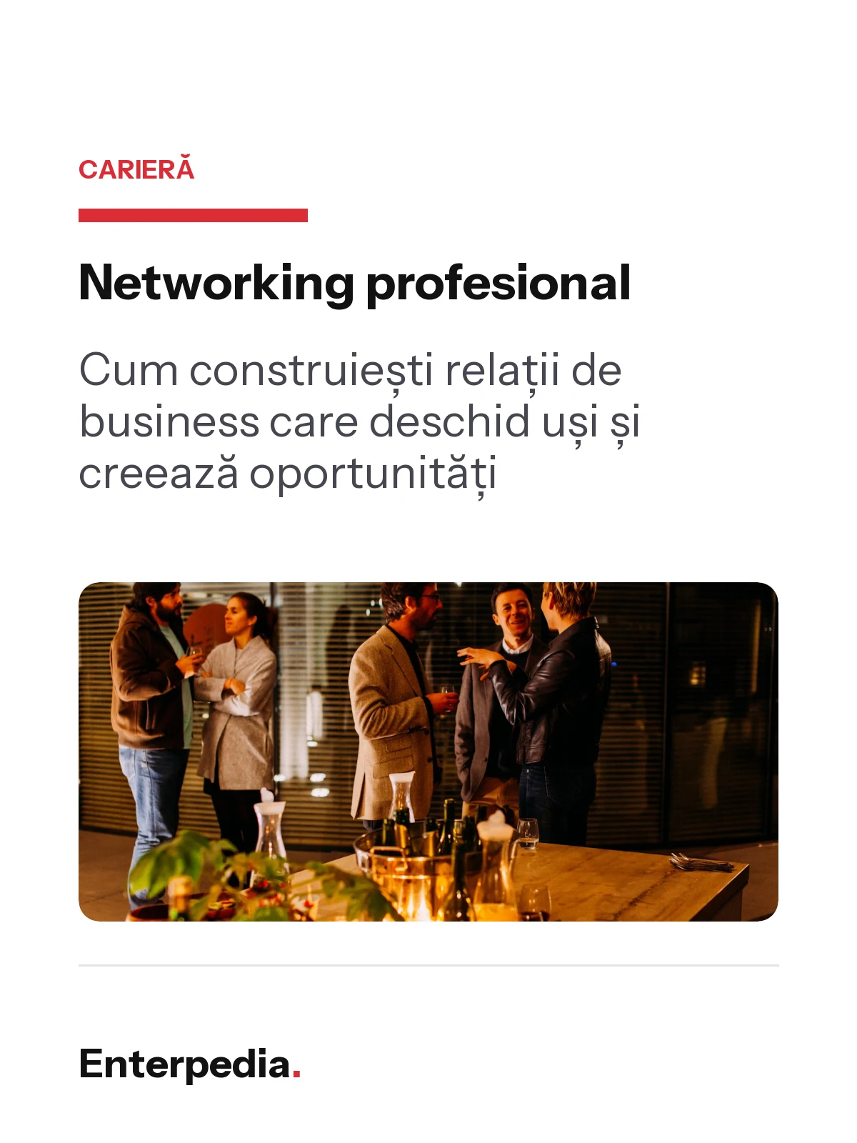 copertă Networking profesional