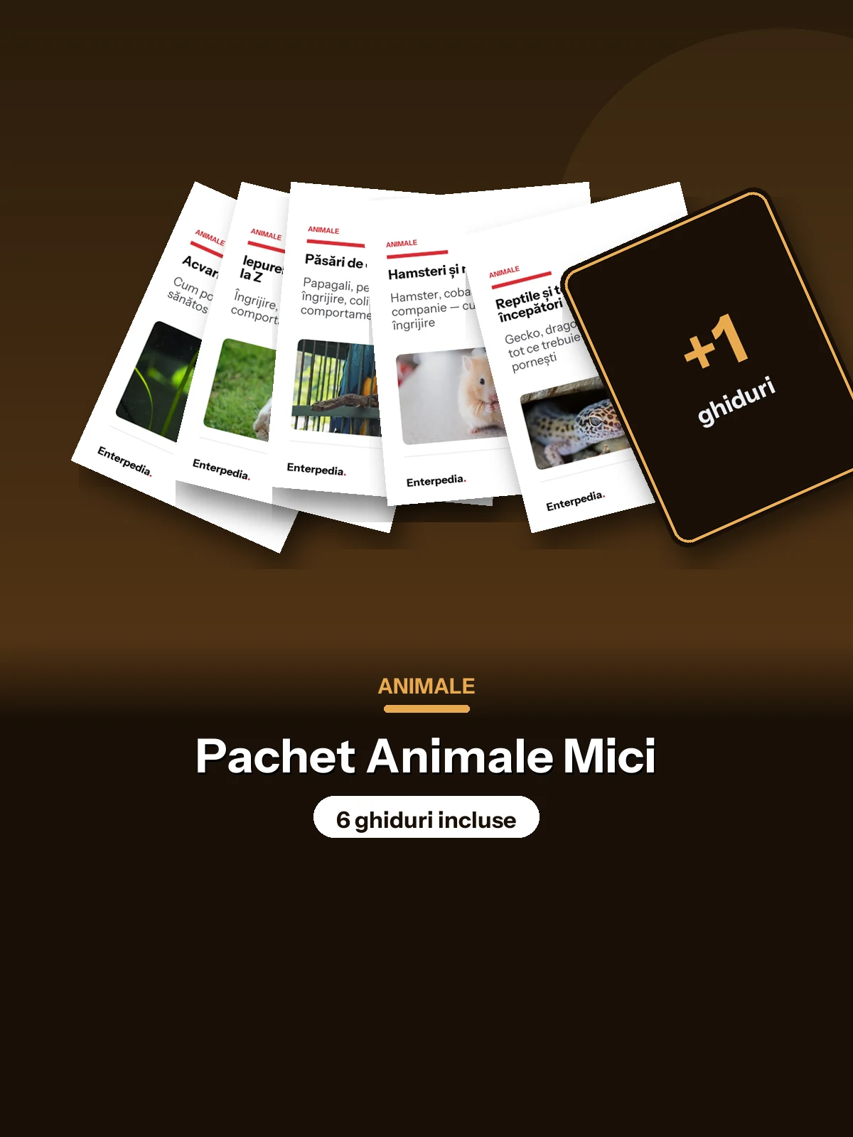 Animale — Pachet Animale Mici (6 ghiduri)