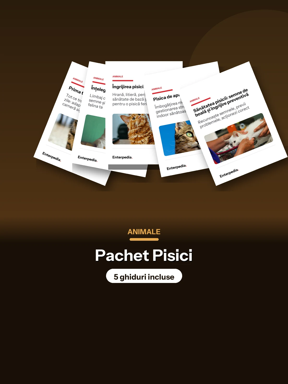 Animale — Pachet Pisici (5 ghiduri)
