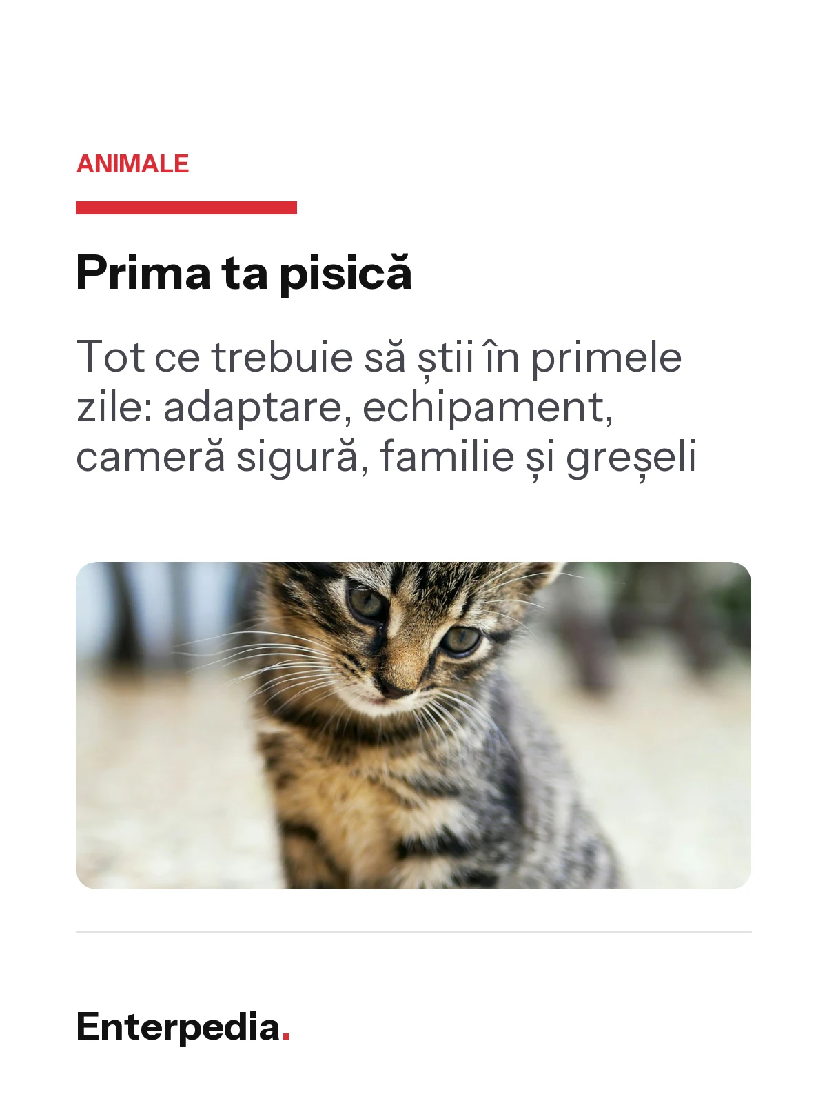 Previzualizare 1