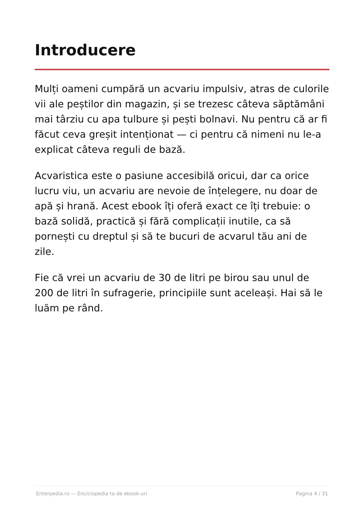 Previzualizare 3