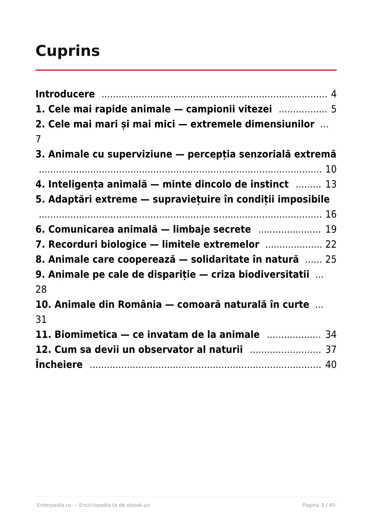 Previzualizare 2