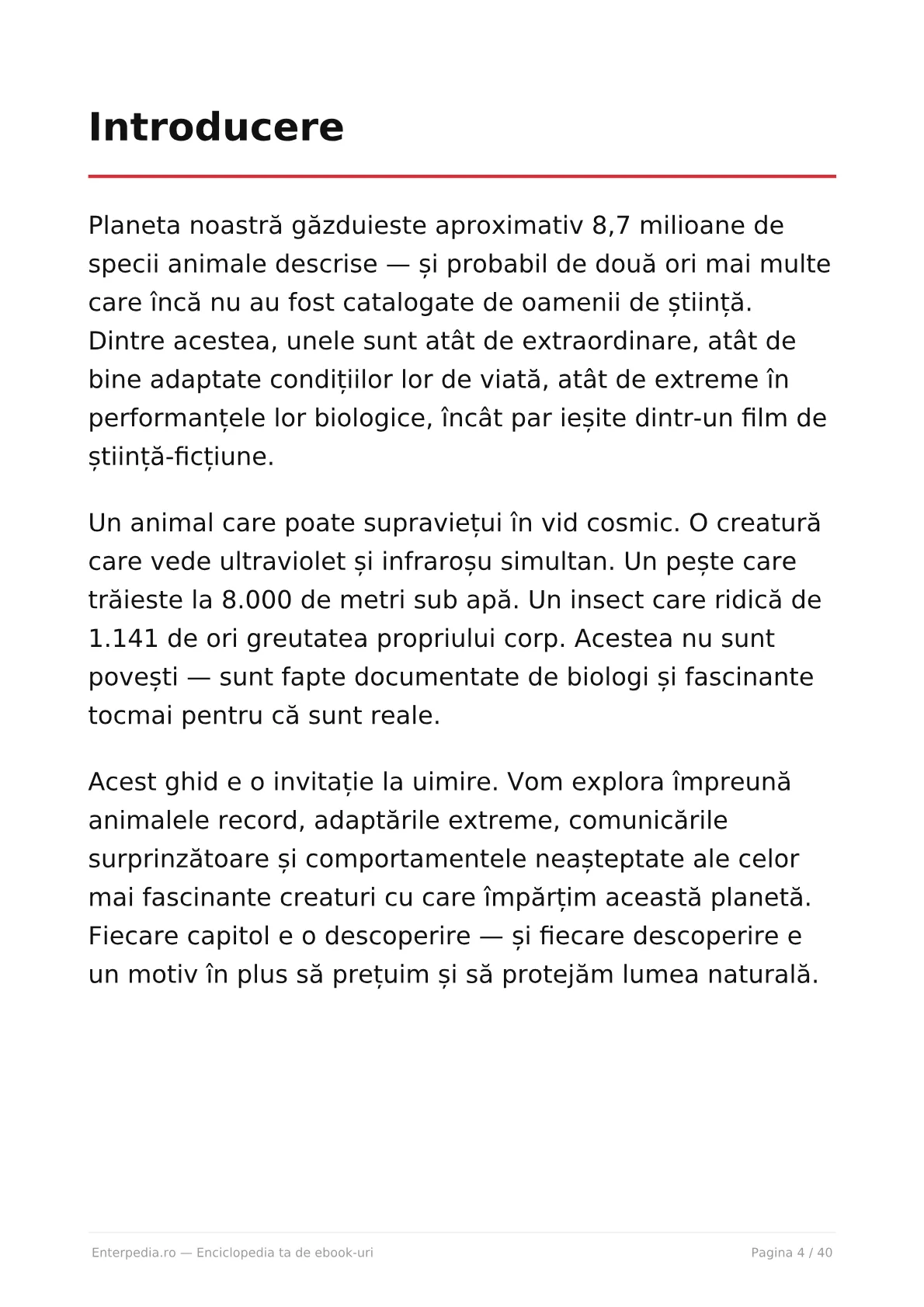 Previzualizare 3