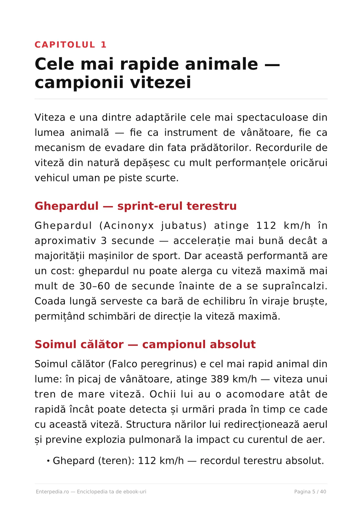 Previzualizare 4