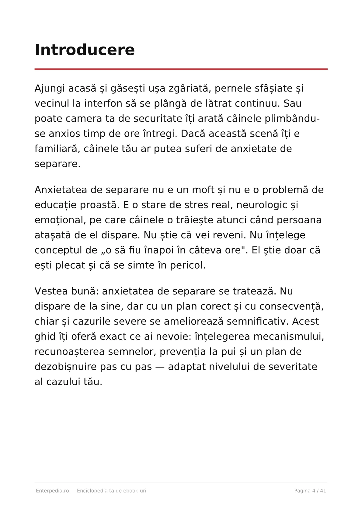 Previzualizare 3