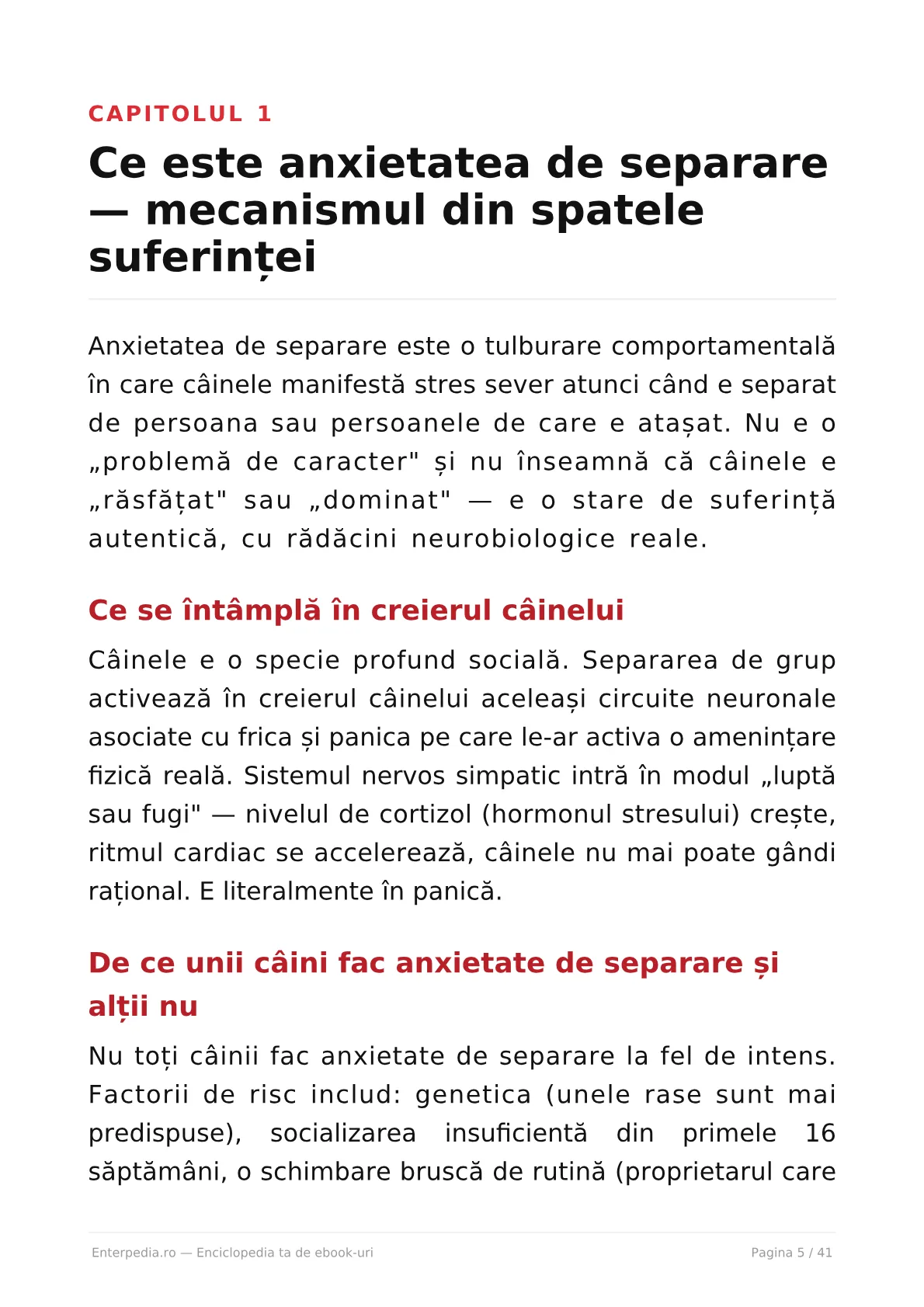 Previzualizare 4