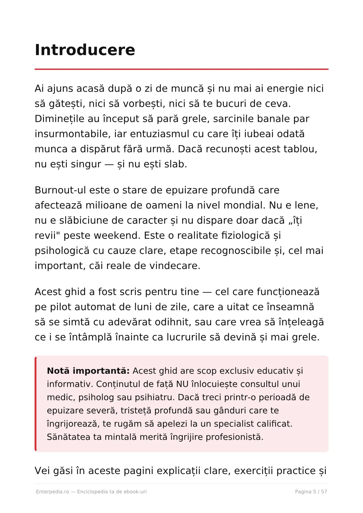 Previzualizare 4