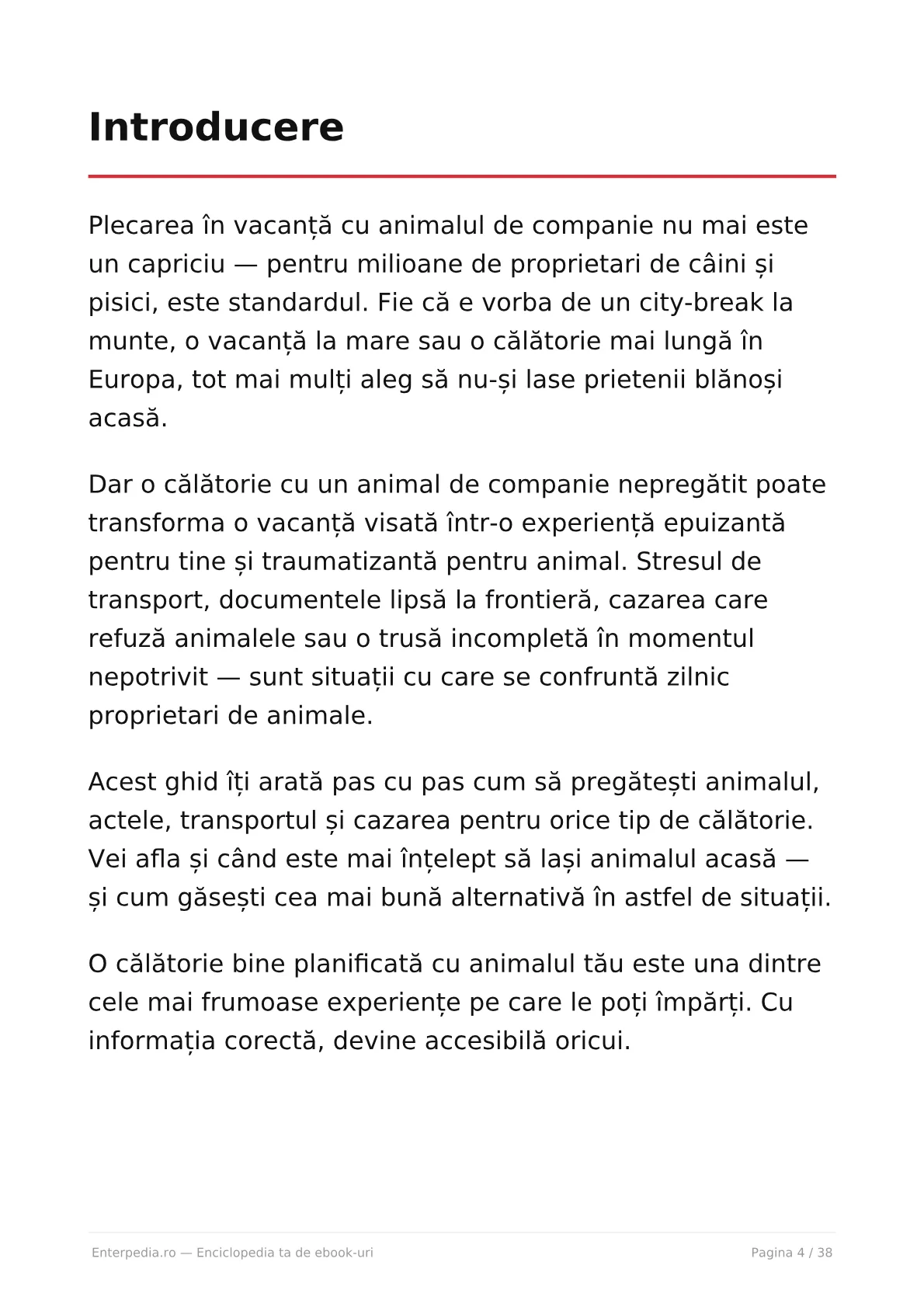 Previzualizare 3