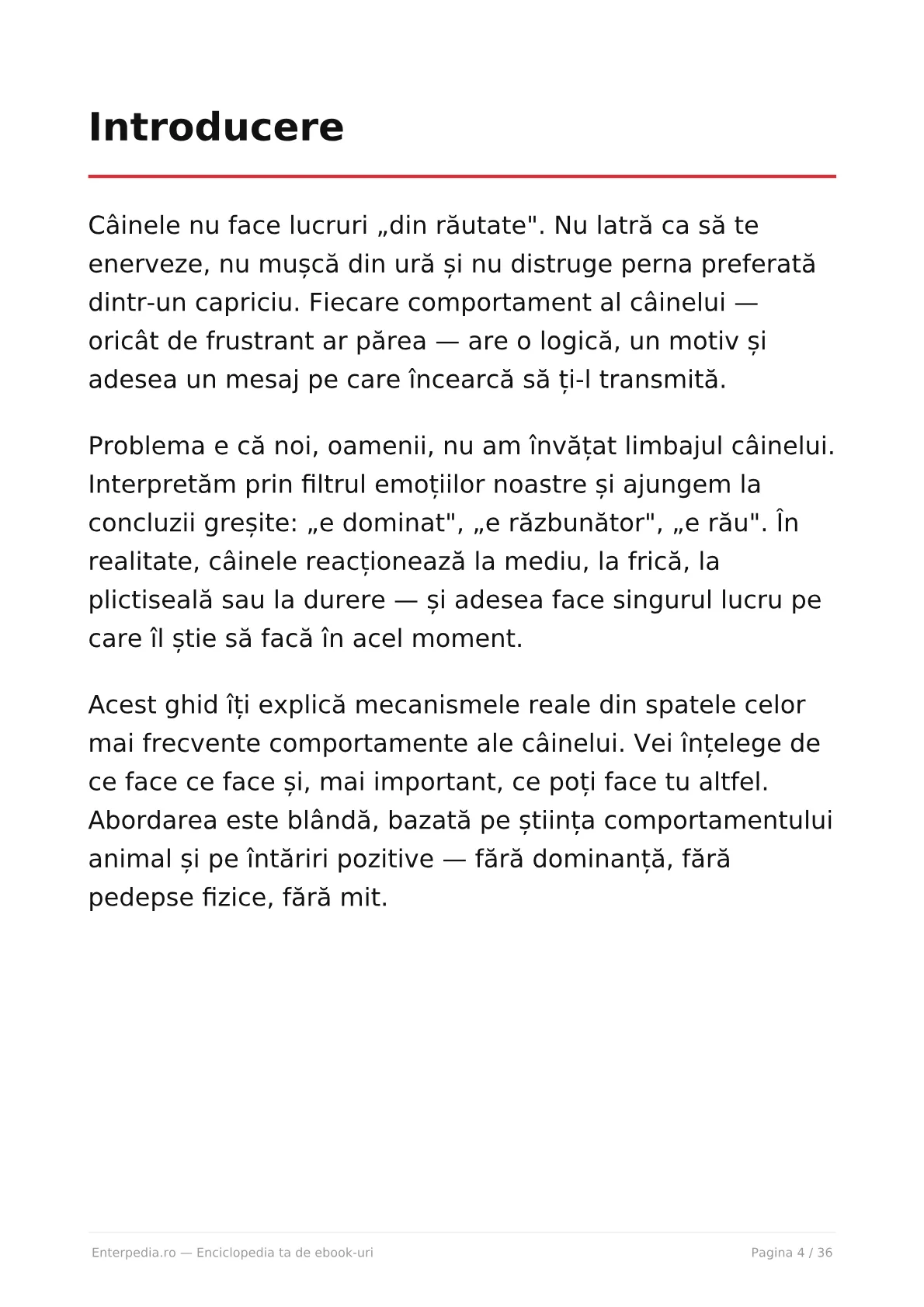 Previzualizare 3
