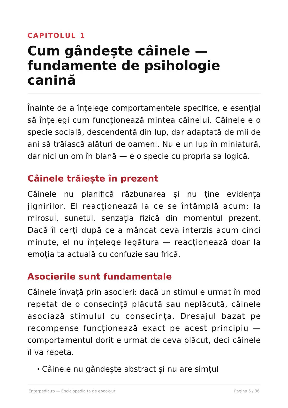 Previzualizare 4