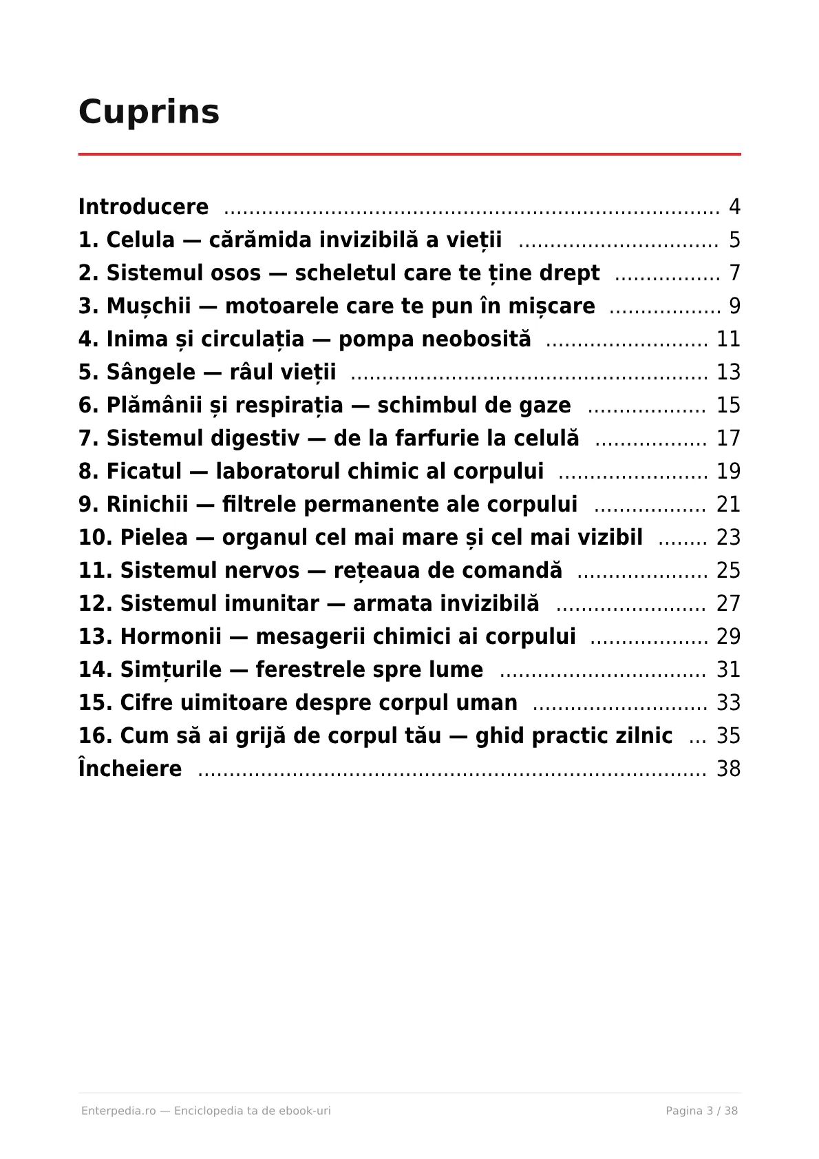 Previzualizare 2