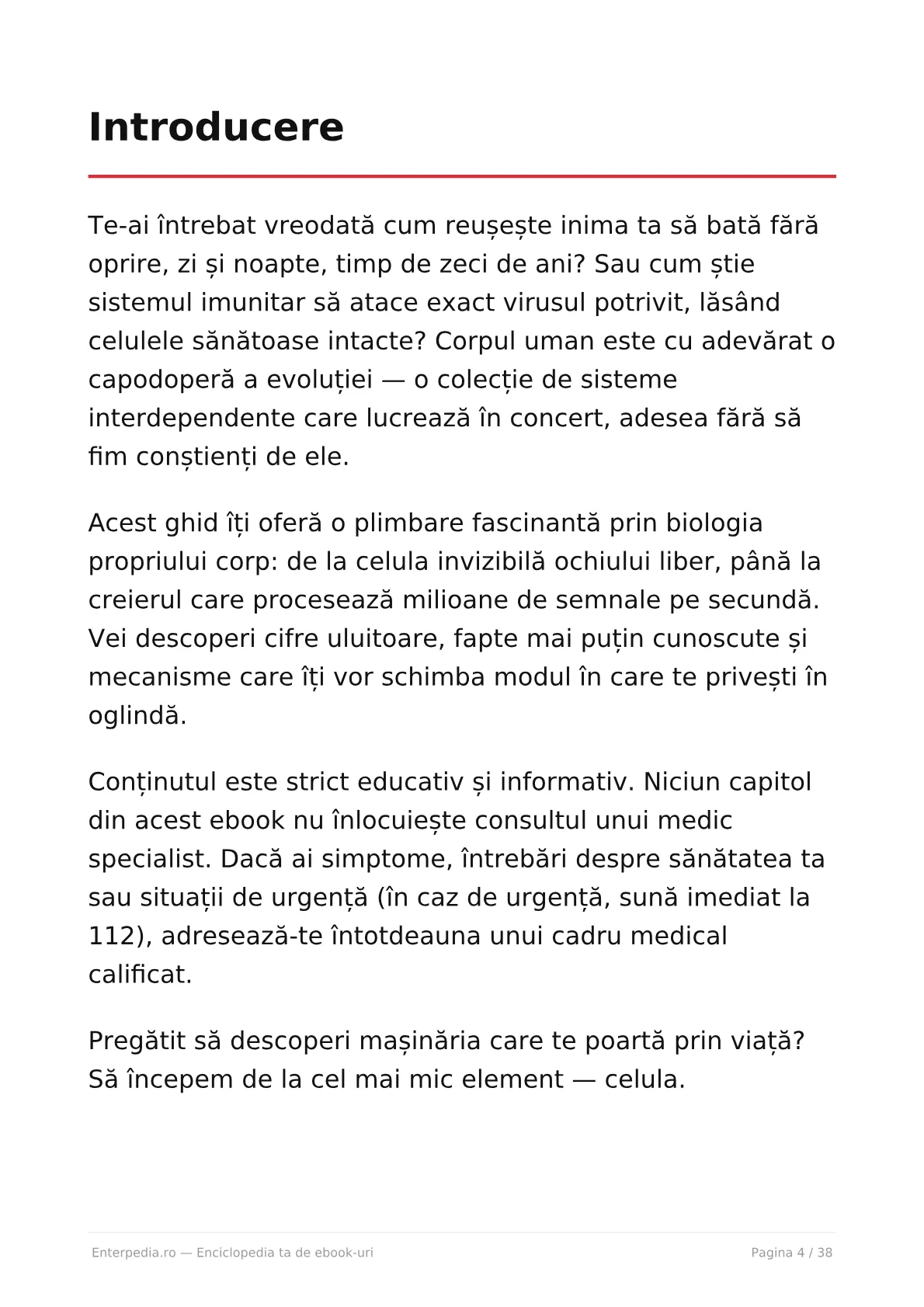 Previzualizare 3