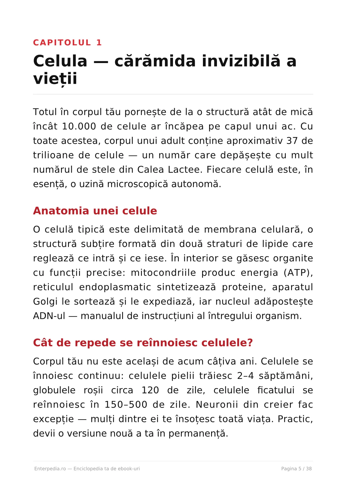 Previzualizare 4