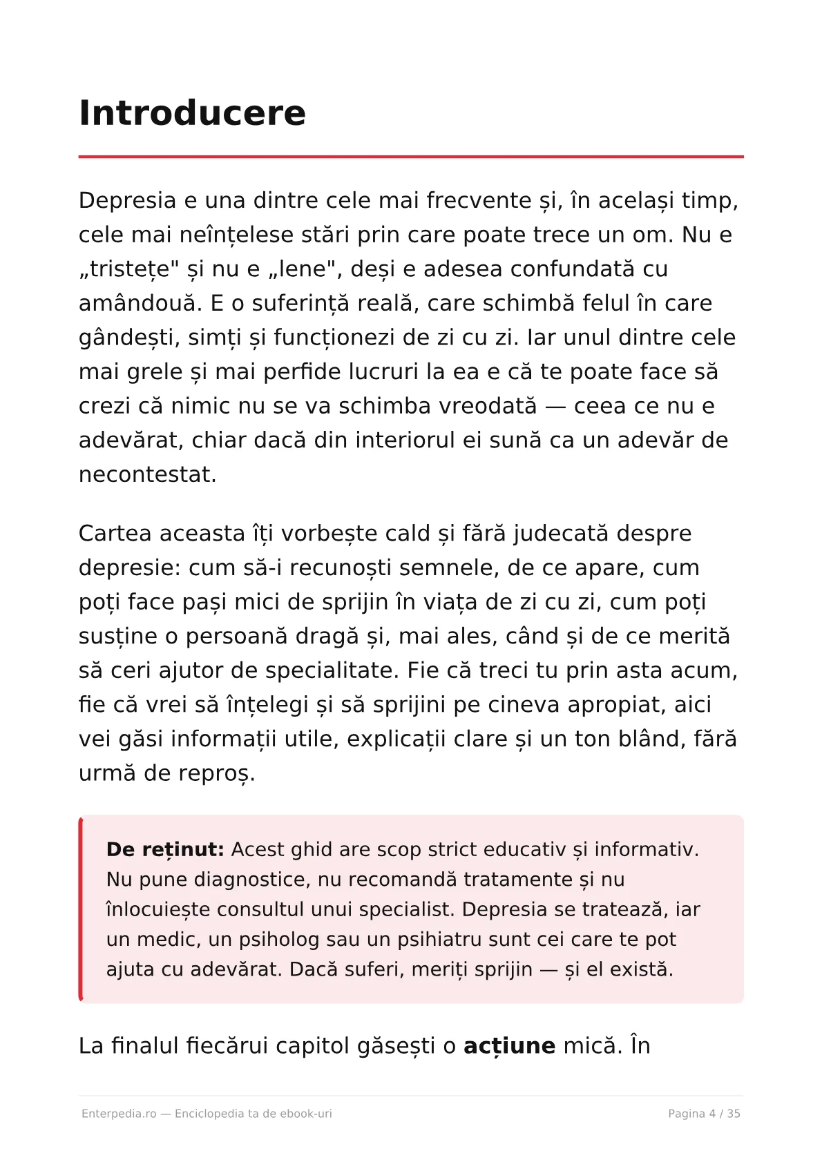 Previzualizare 3