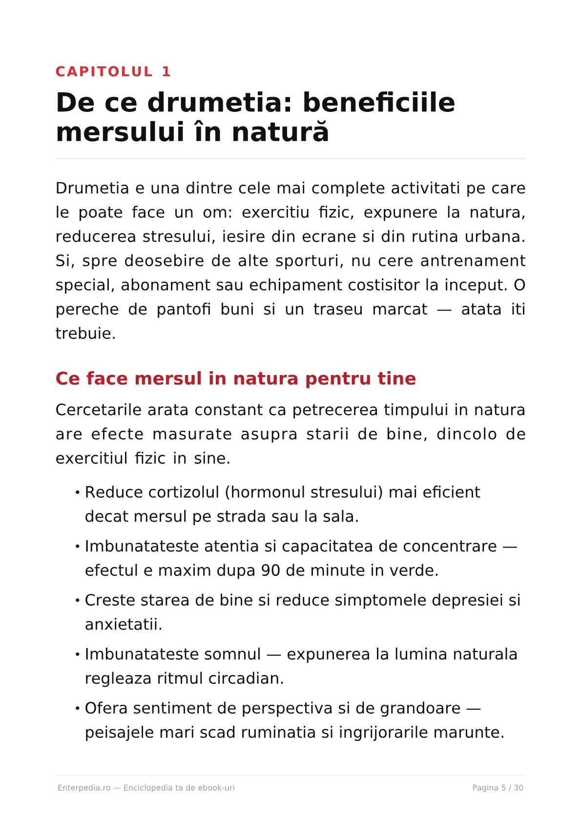 Previzualizare 4