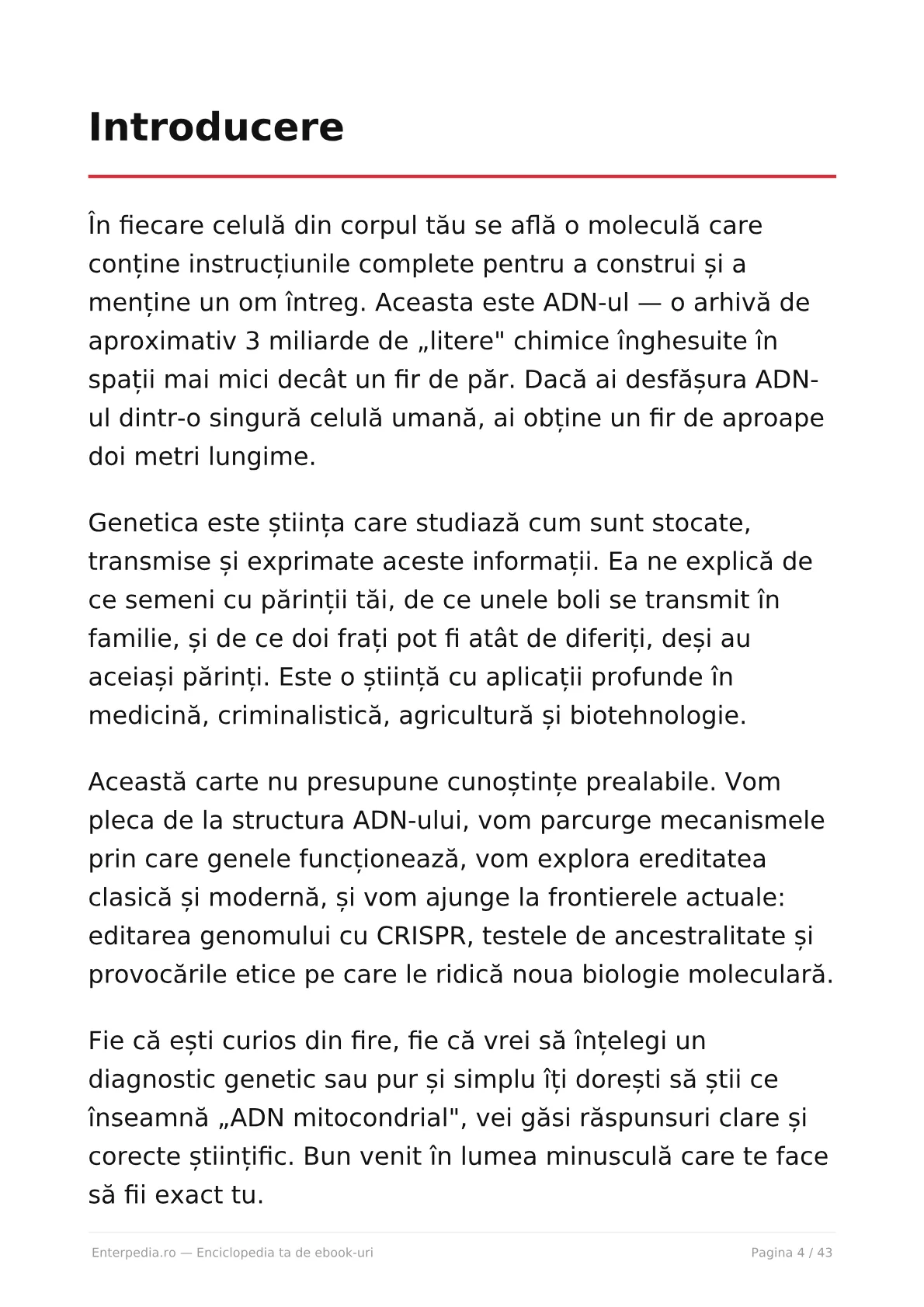 Previzualizare 3