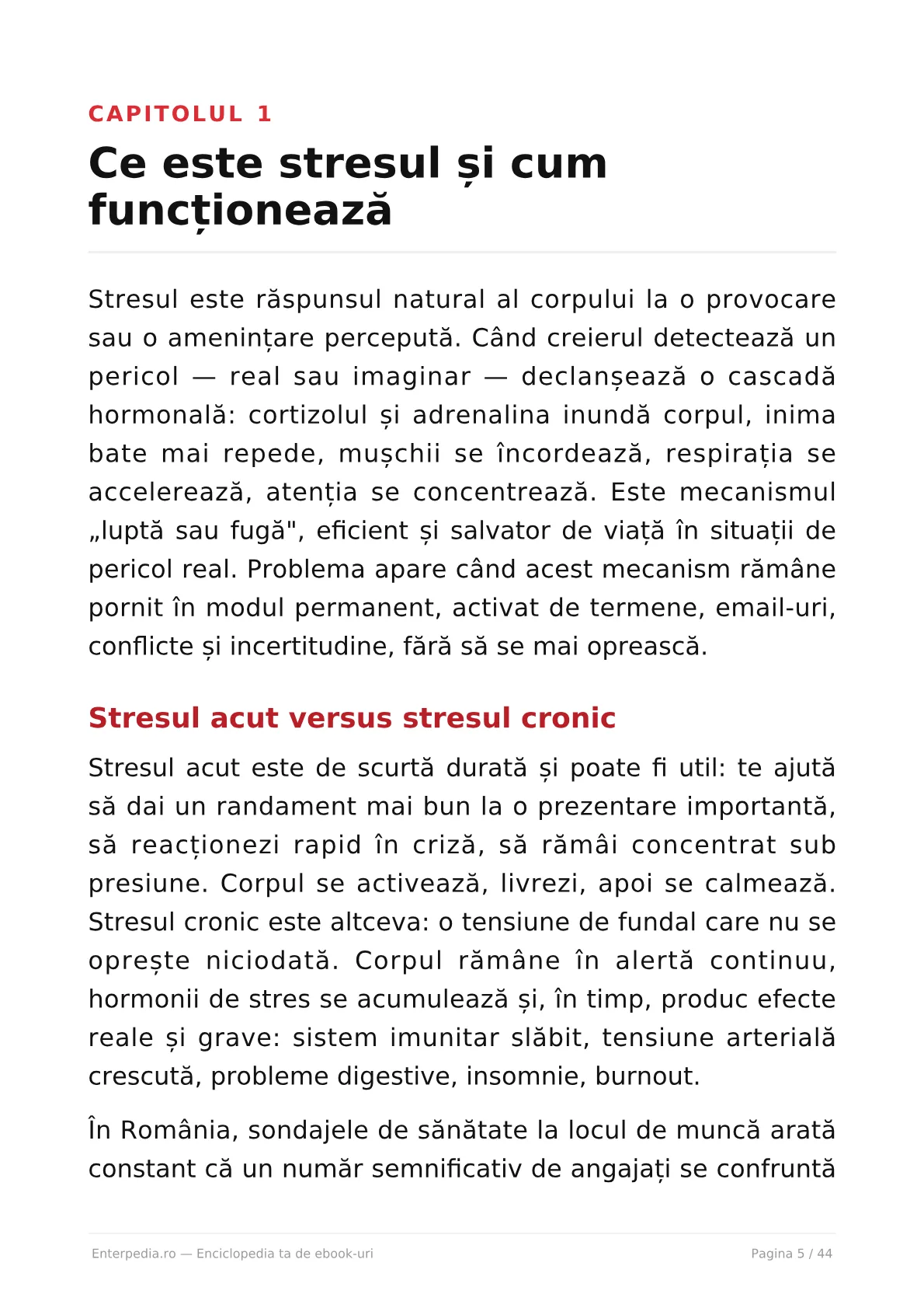 Previzualizare 4
