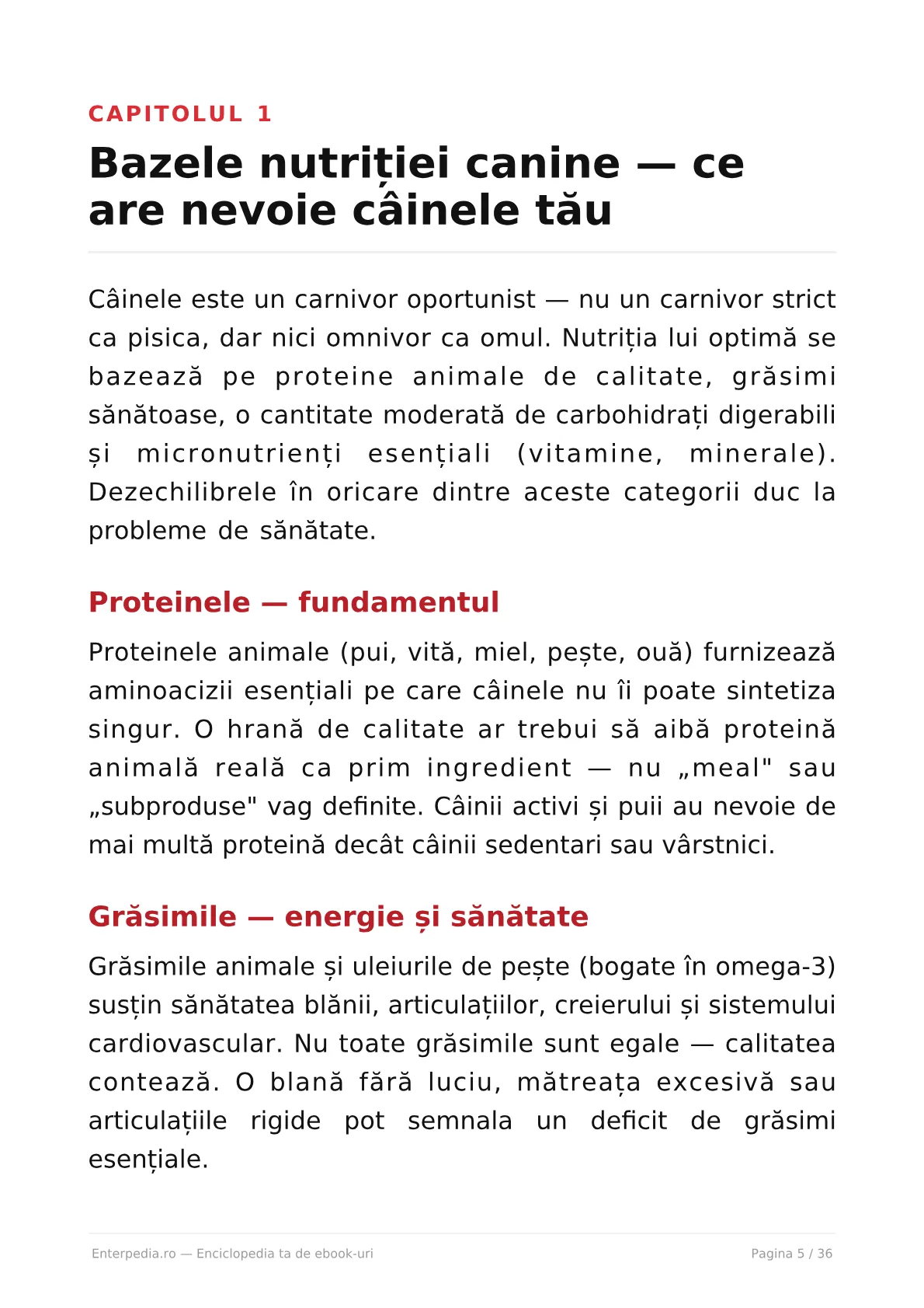 Previzualizare 4