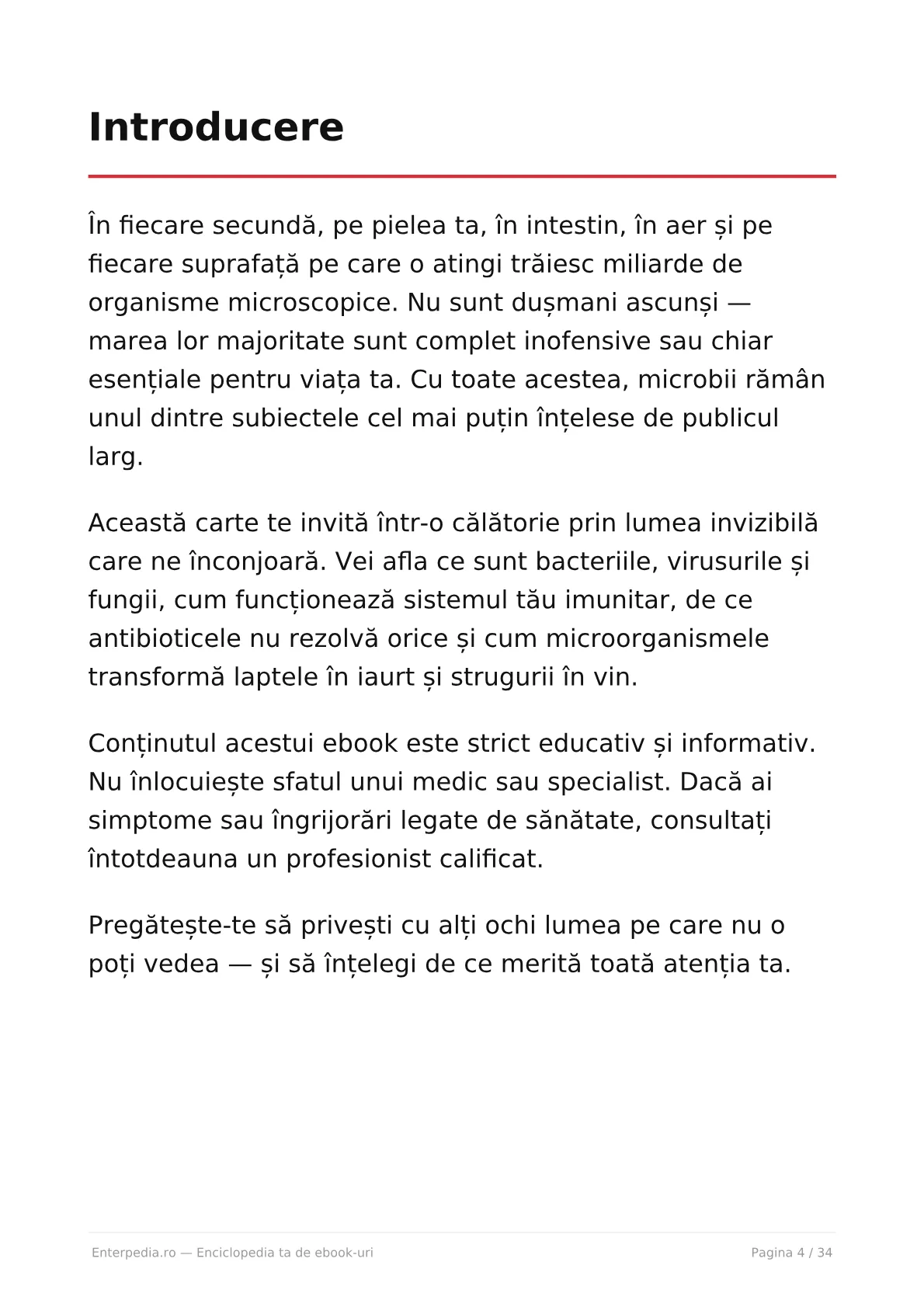 Previzualizare 3