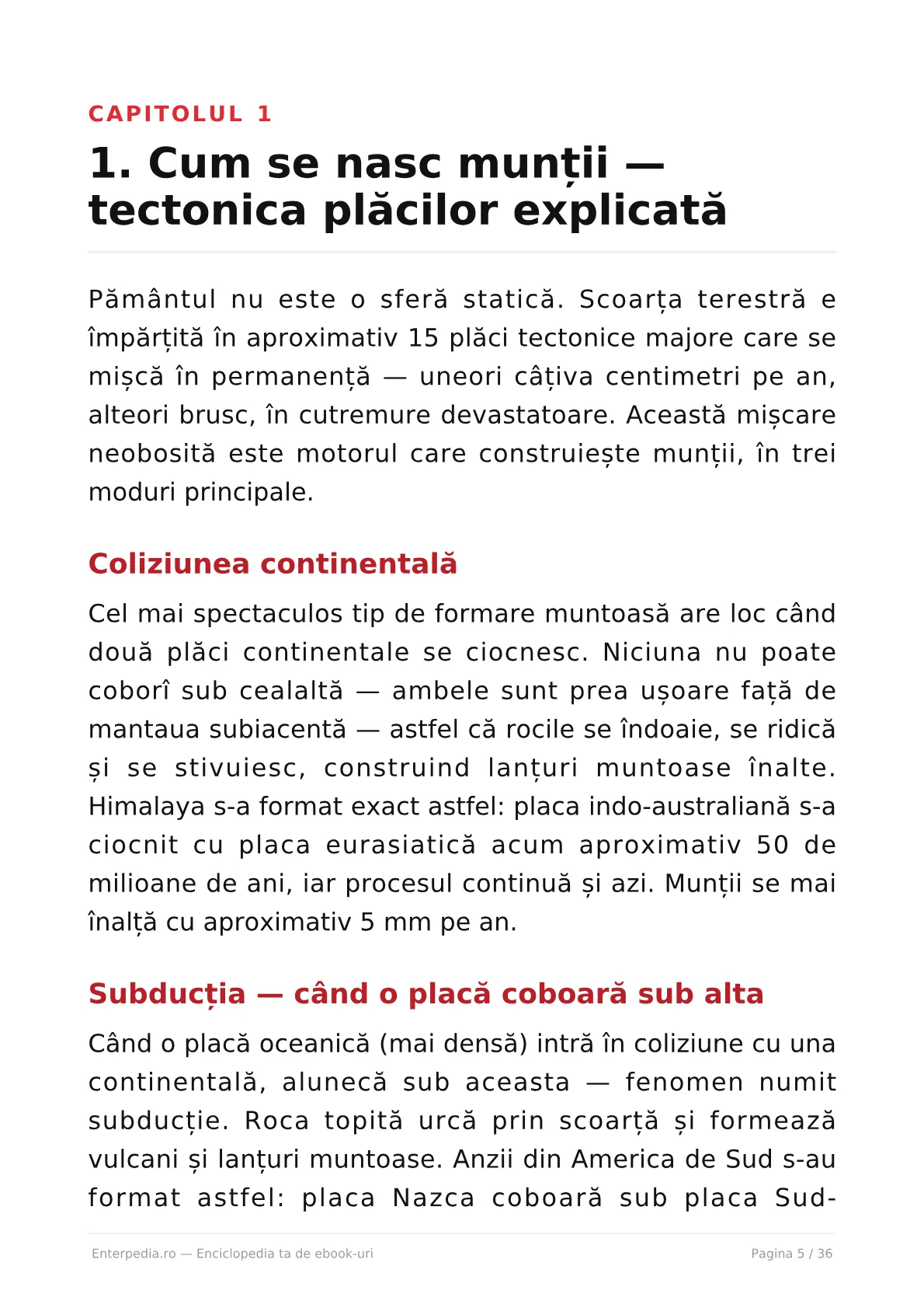 Previzualizare 4