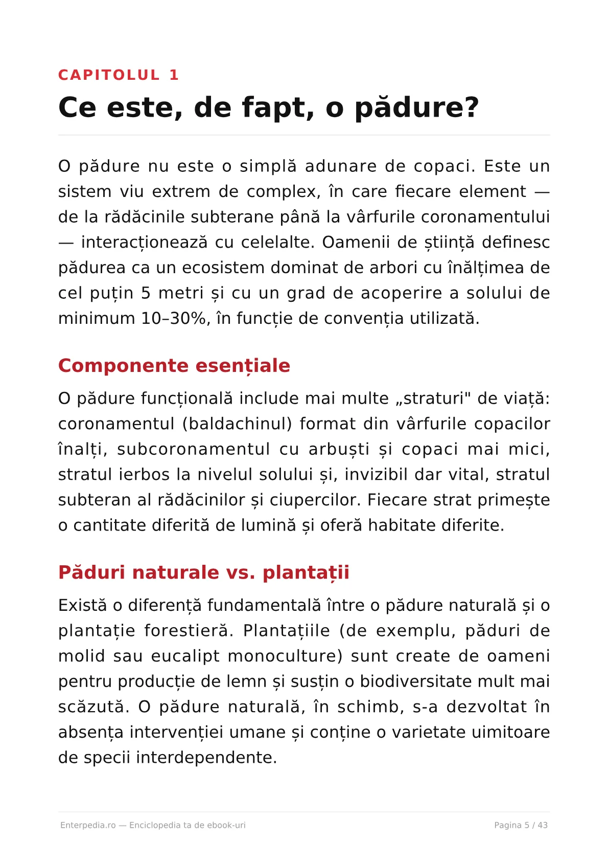 Previzualizare 4