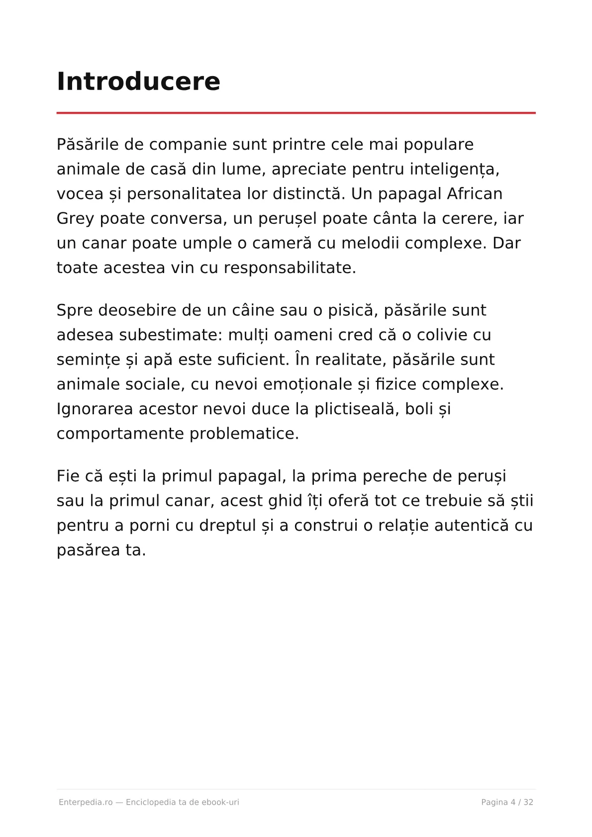 Previzualizare 3