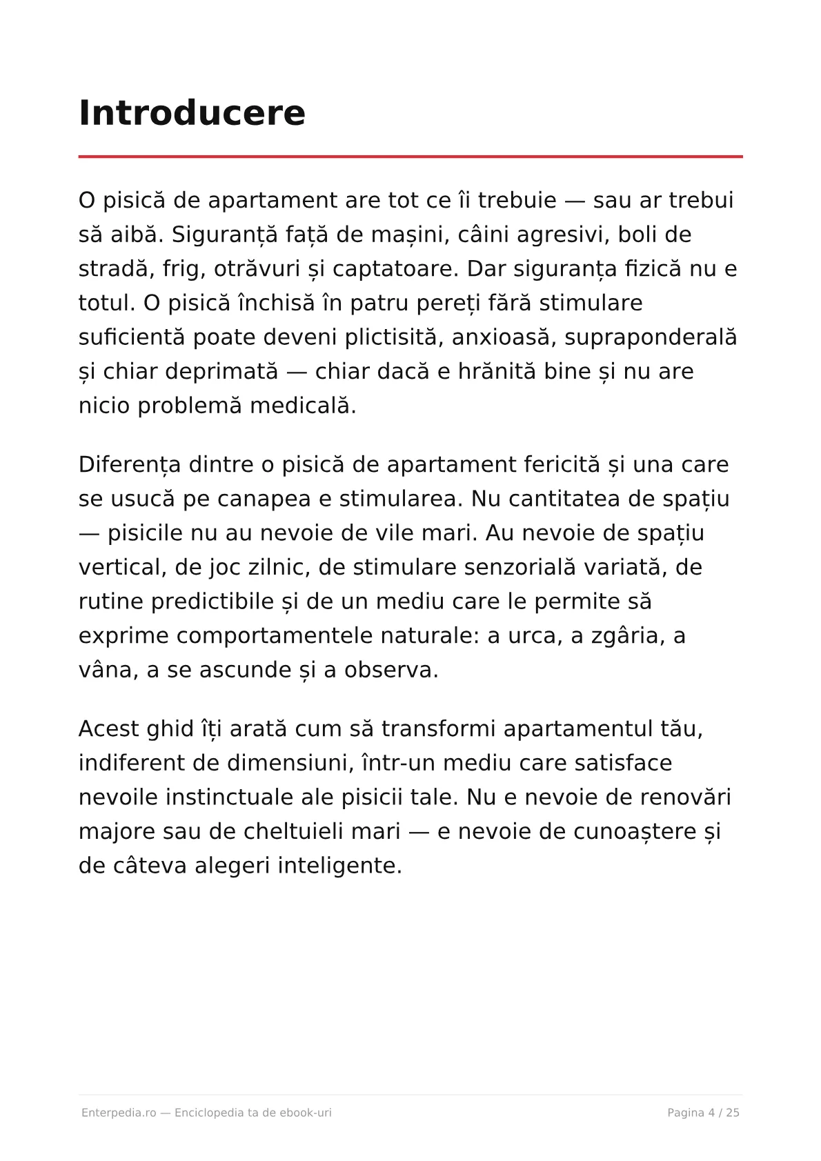 Previzualizare 3