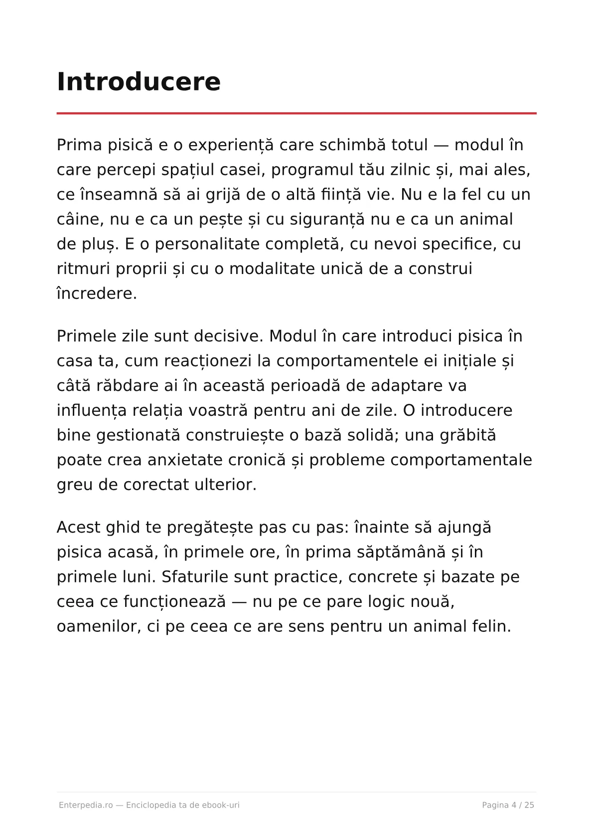 Previzualizare 3