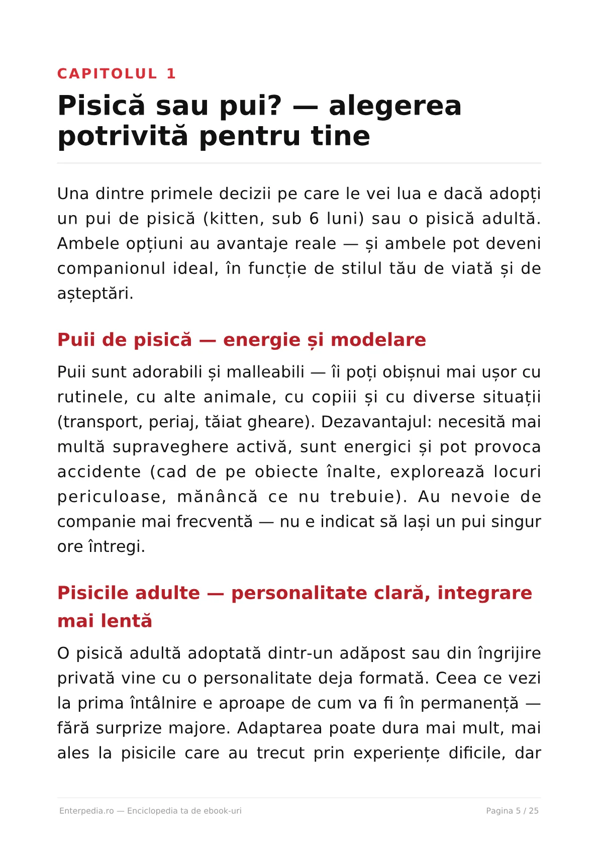 Previzualizare 4