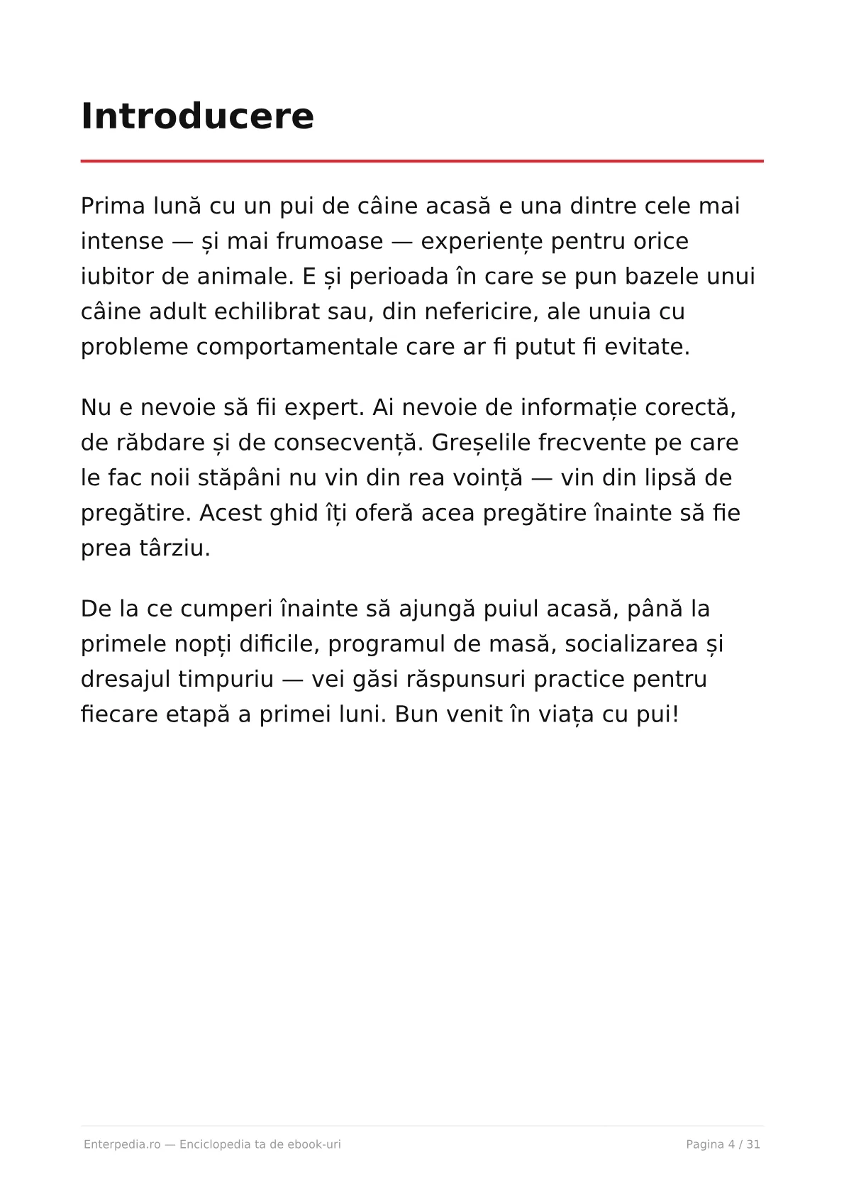 Previzualizare 3