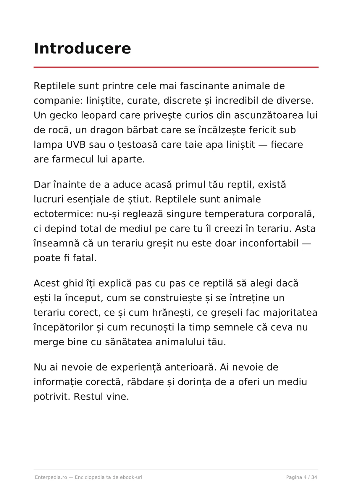 Previzualizare 3