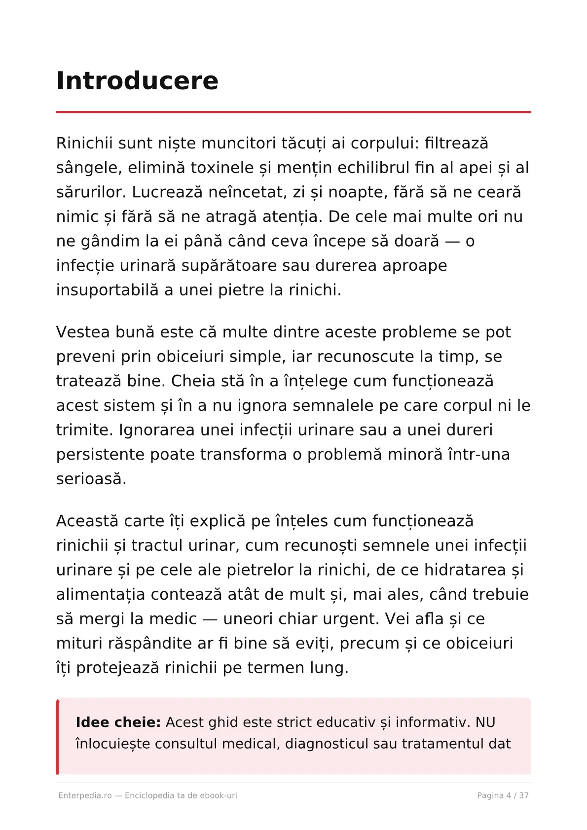 Previzualizare 3