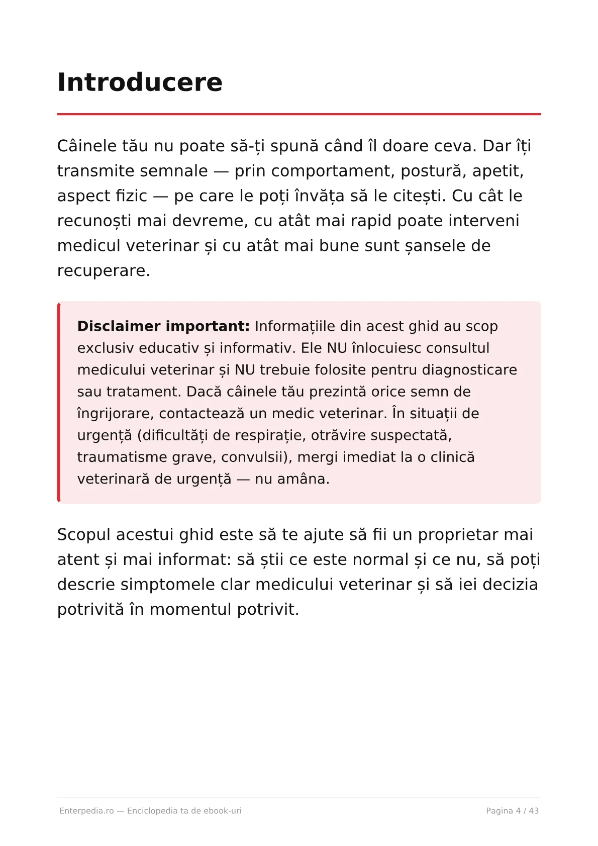 Previzualizare 3