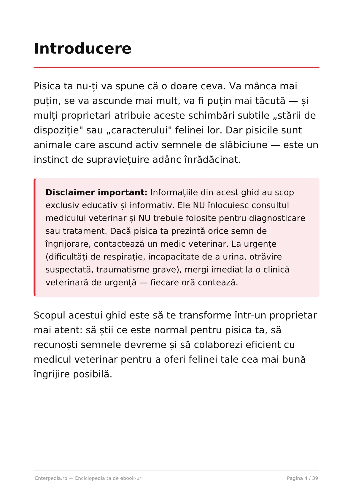 Previzualizare 3
