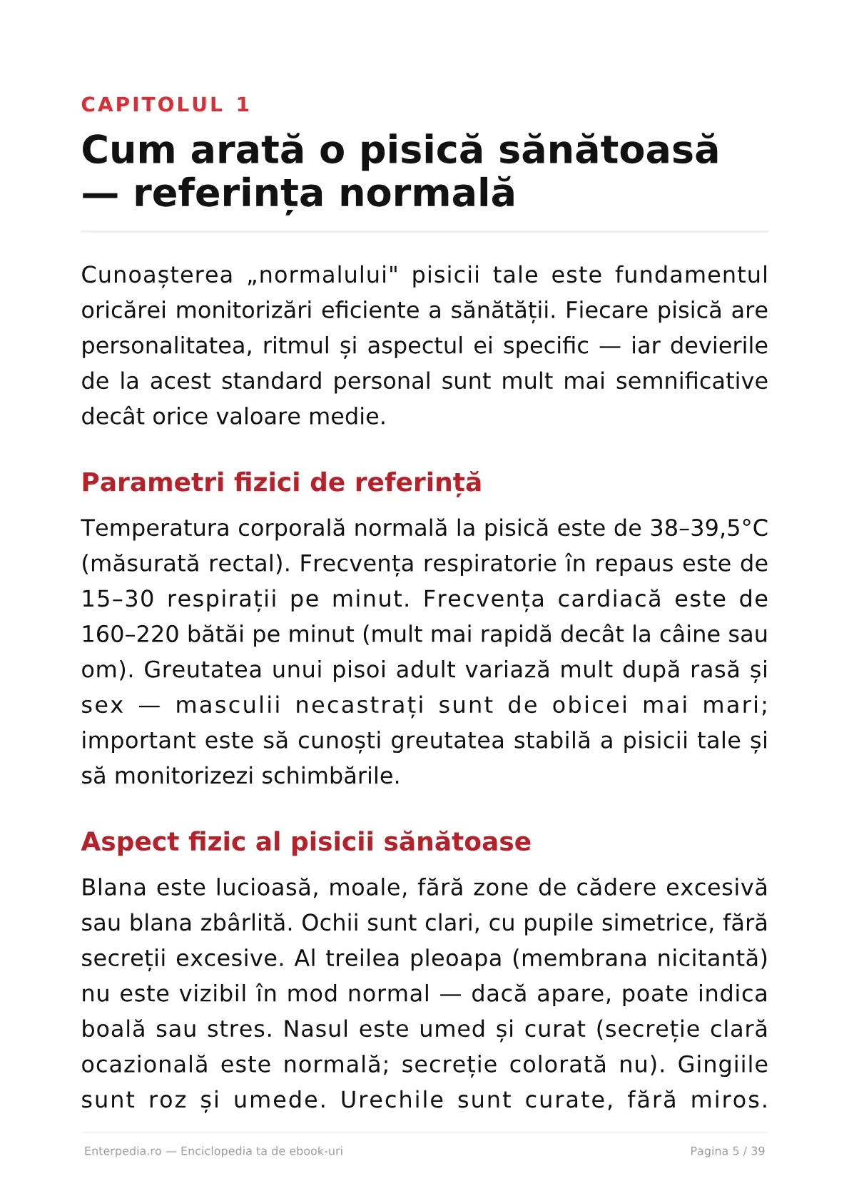 Previzualizare 4
