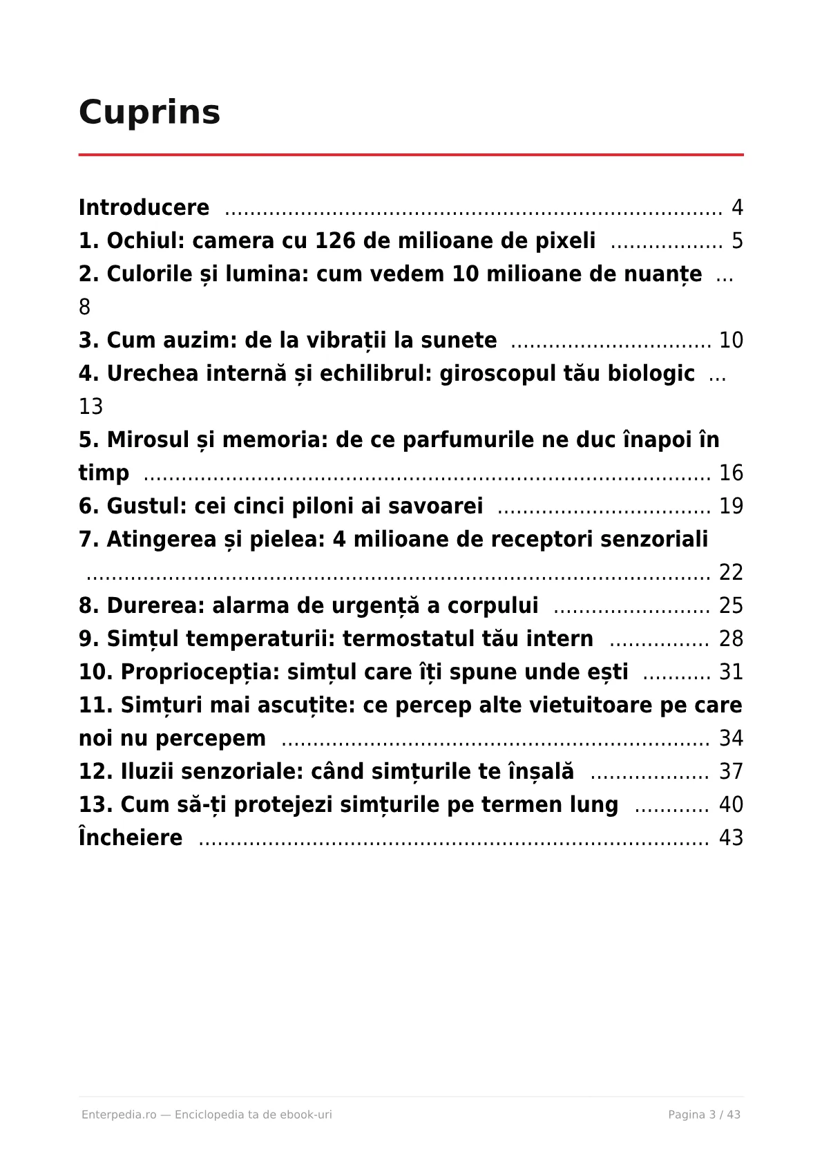 Previzualizare 2