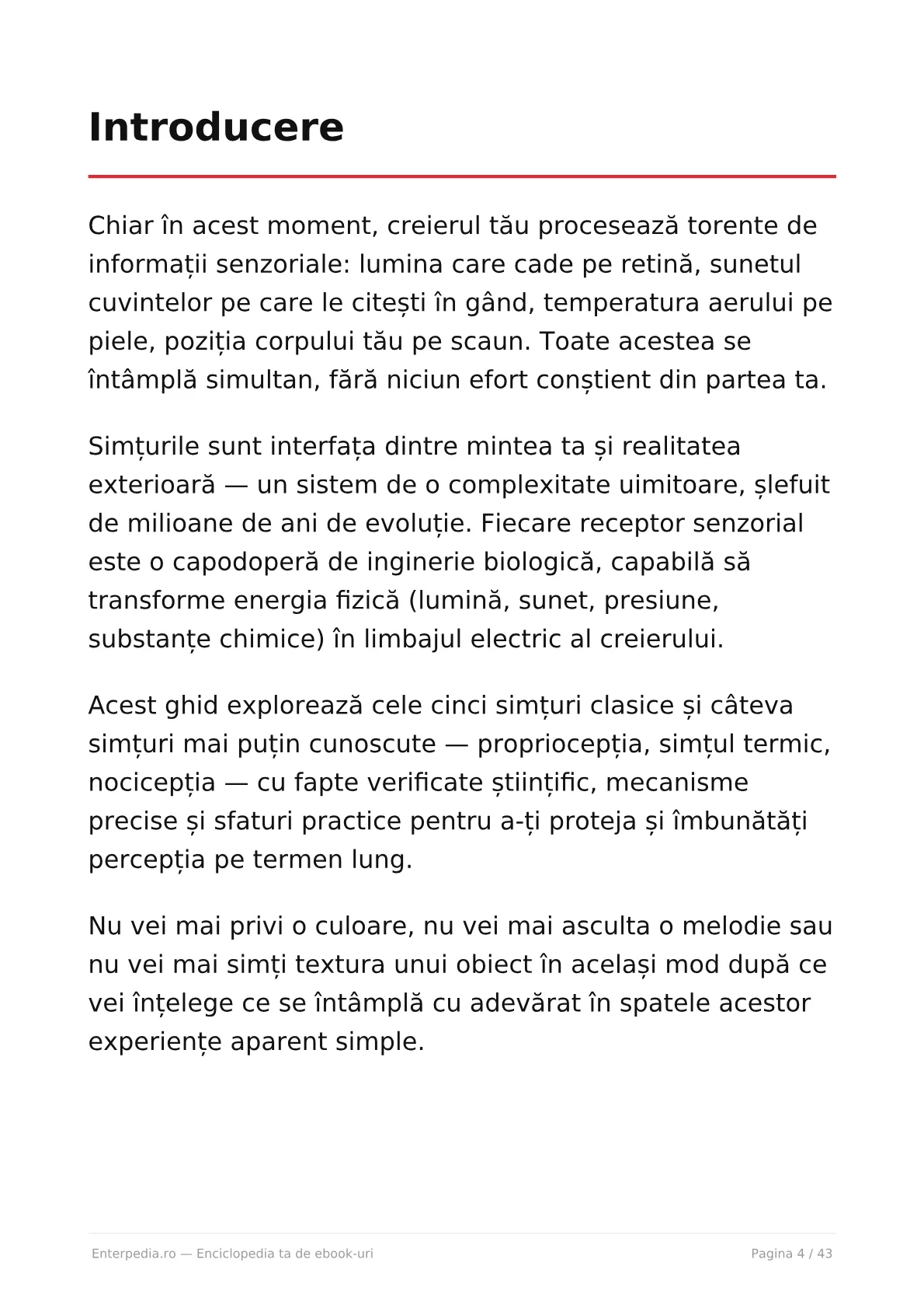 Previzualizare 3