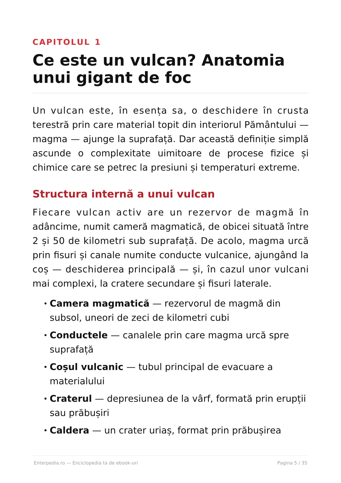 Previzualizare 4